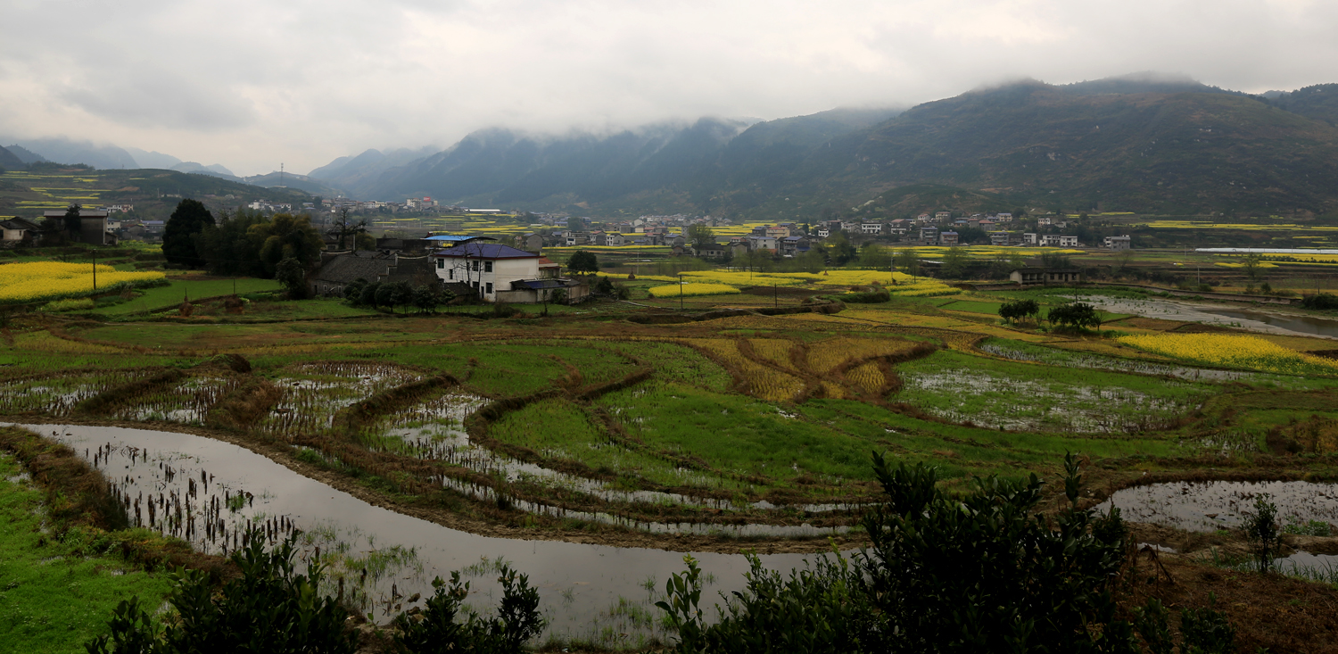 田园风光