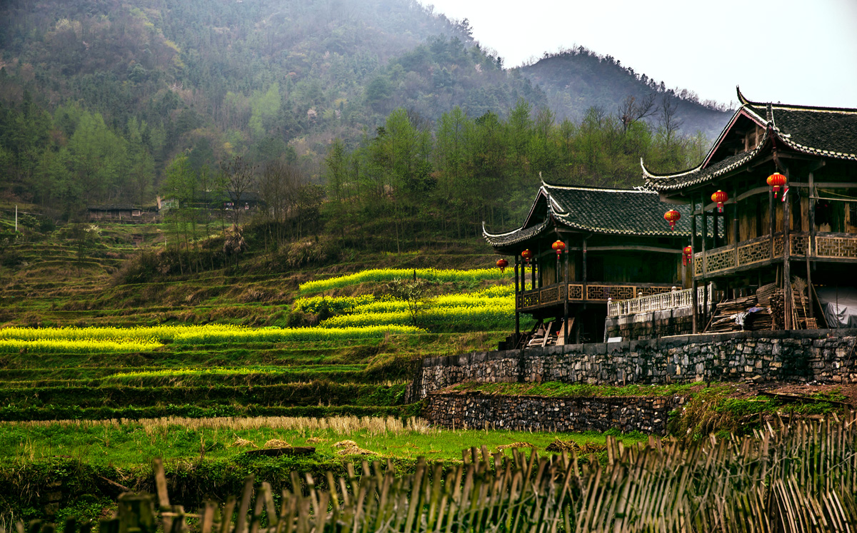 乡村春早（2）