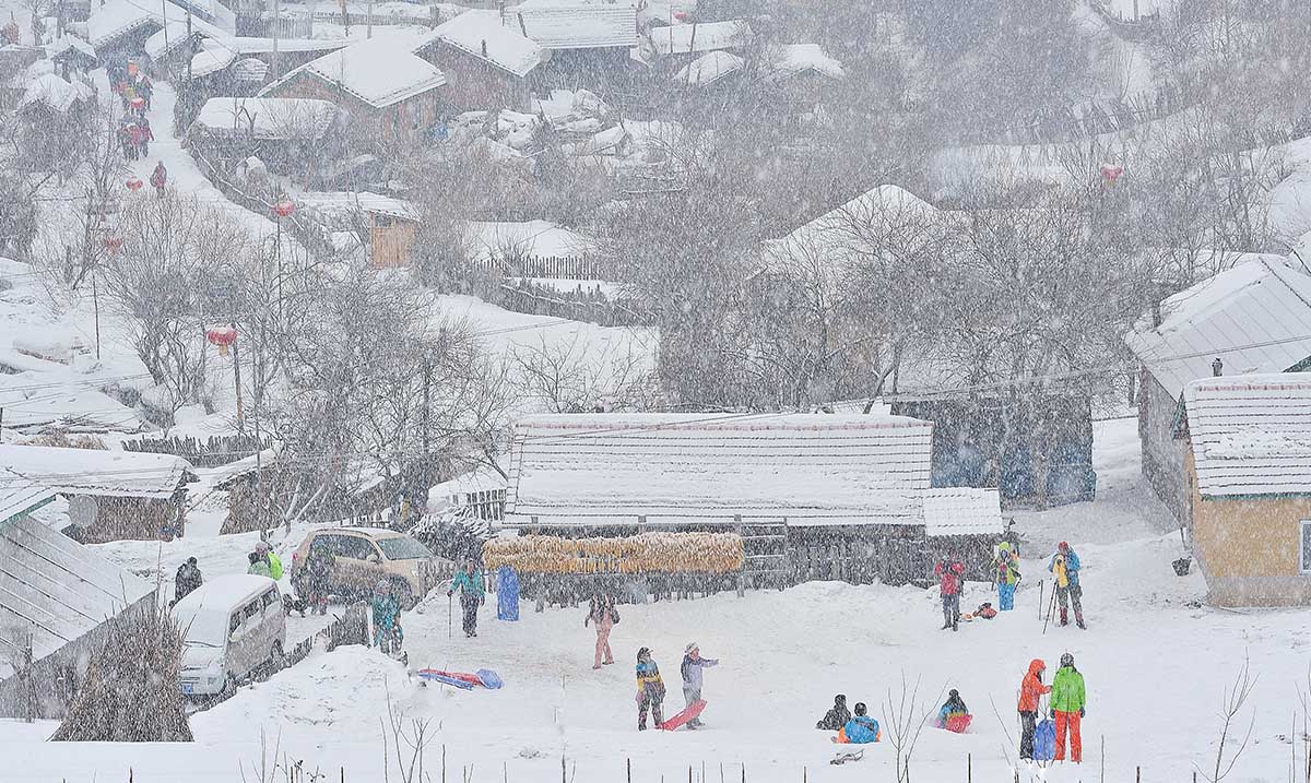 雪落松岭
