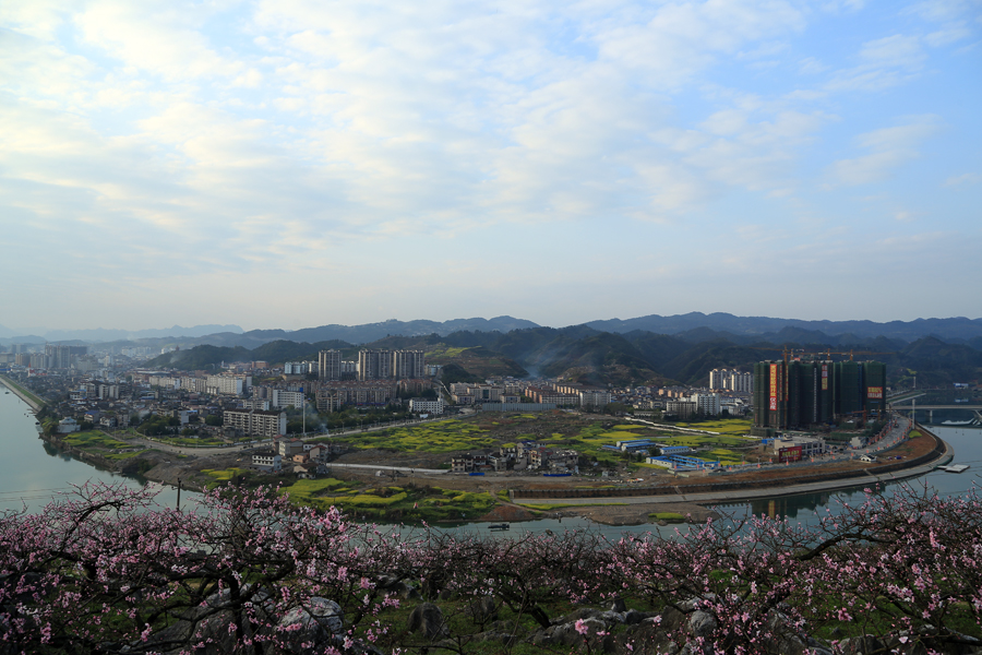 新城一隅春色