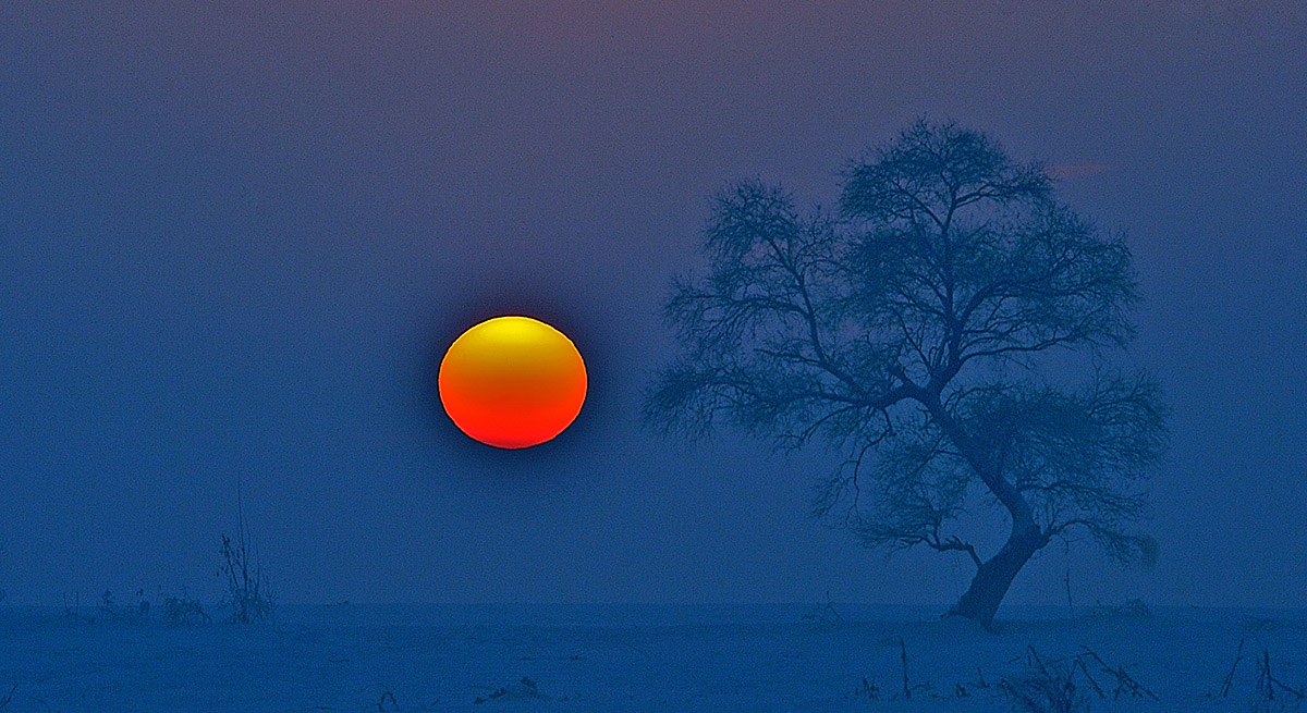 最美不过夕阳红