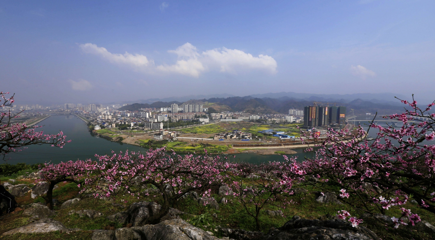 新城