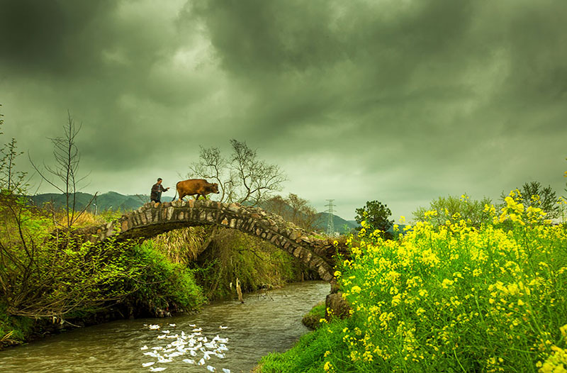 乡村小景