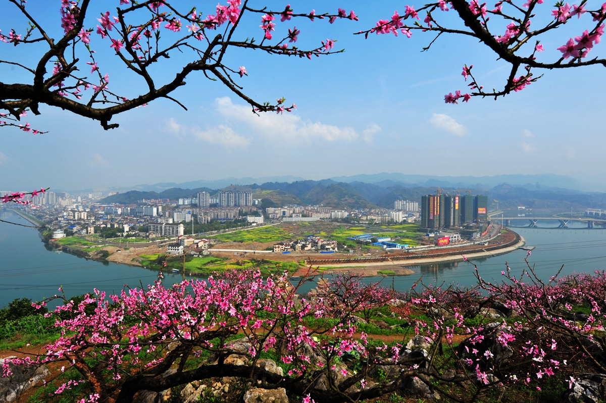 春到庸城