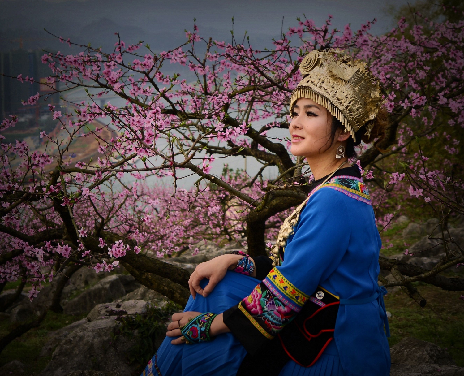 桃花美人4