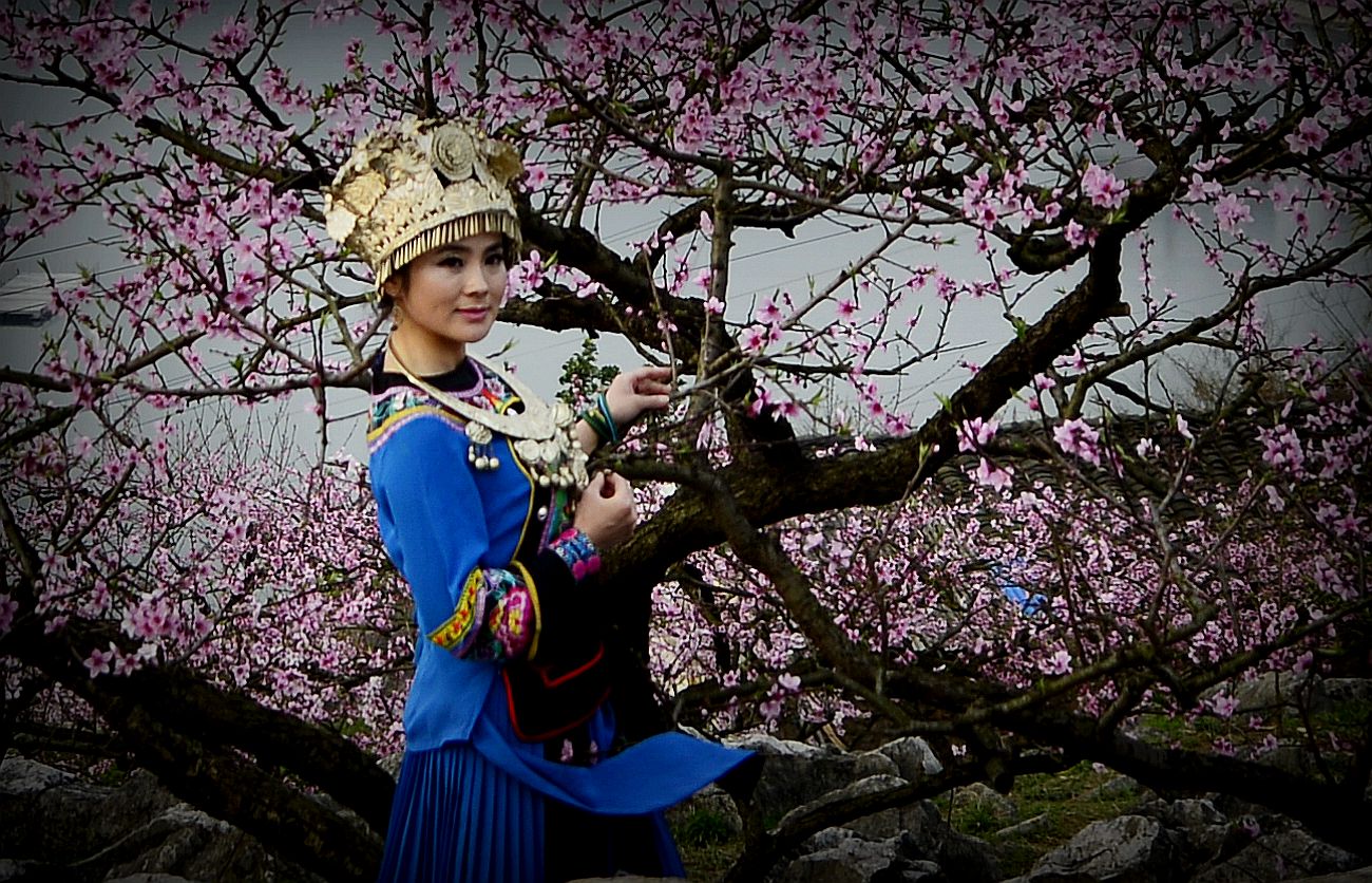 桃花美人2