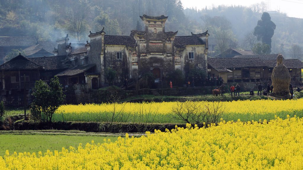 乡村小景
