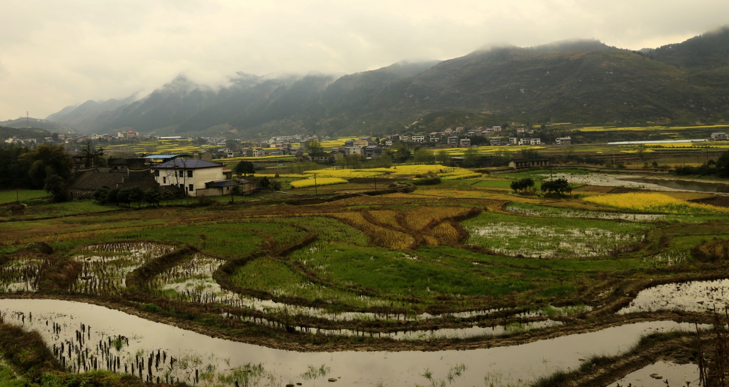 农村