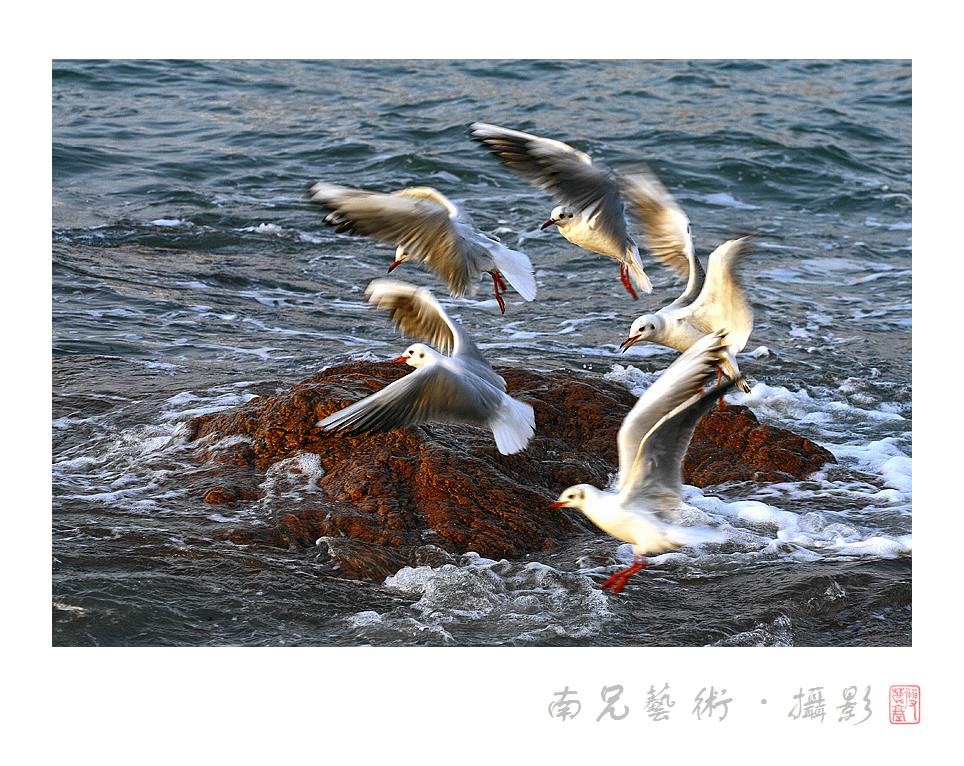 追逐