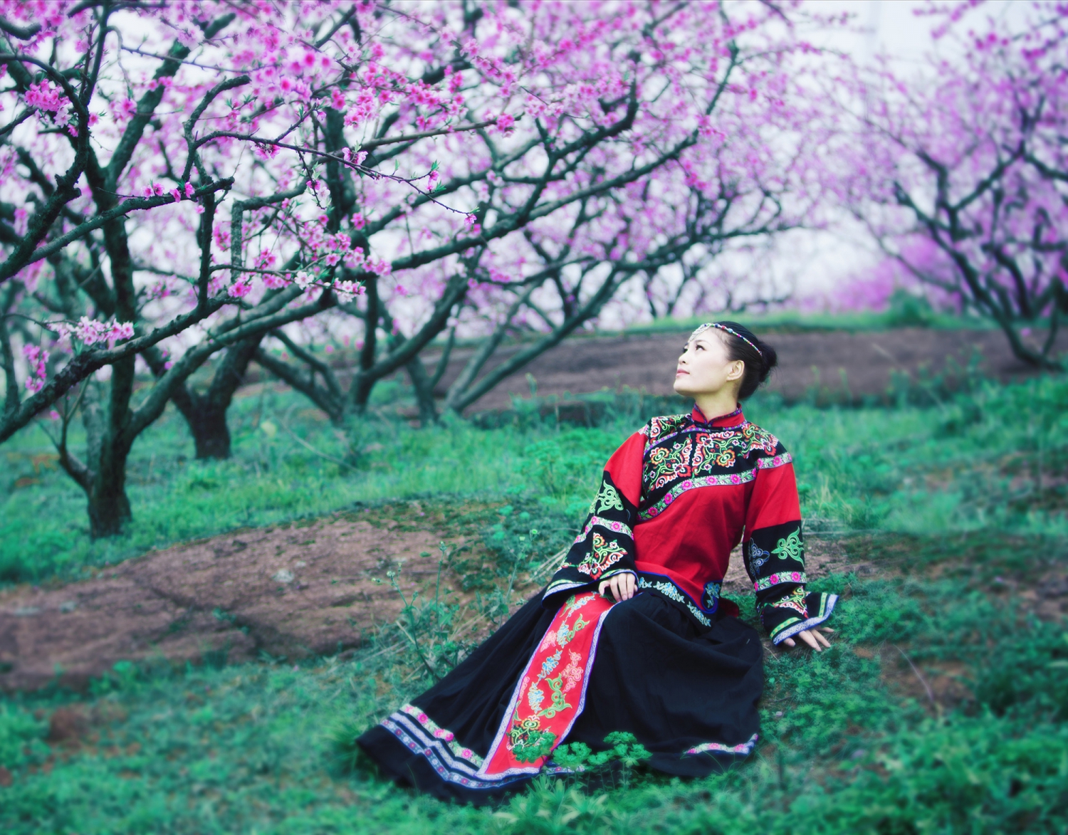 《赏》