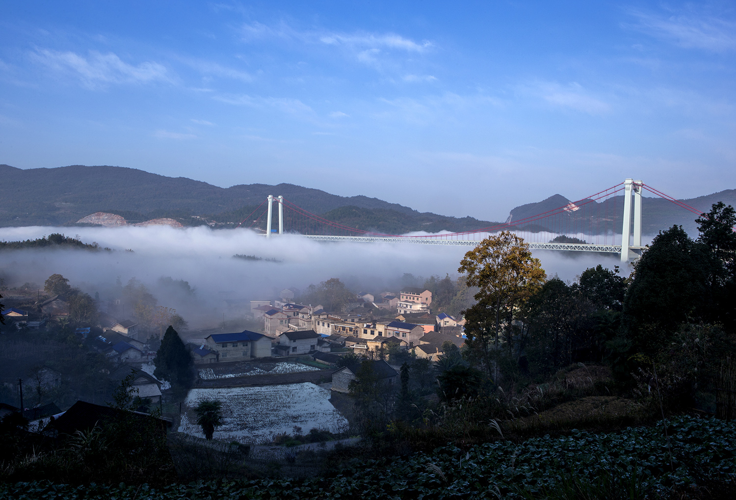 鸭坪