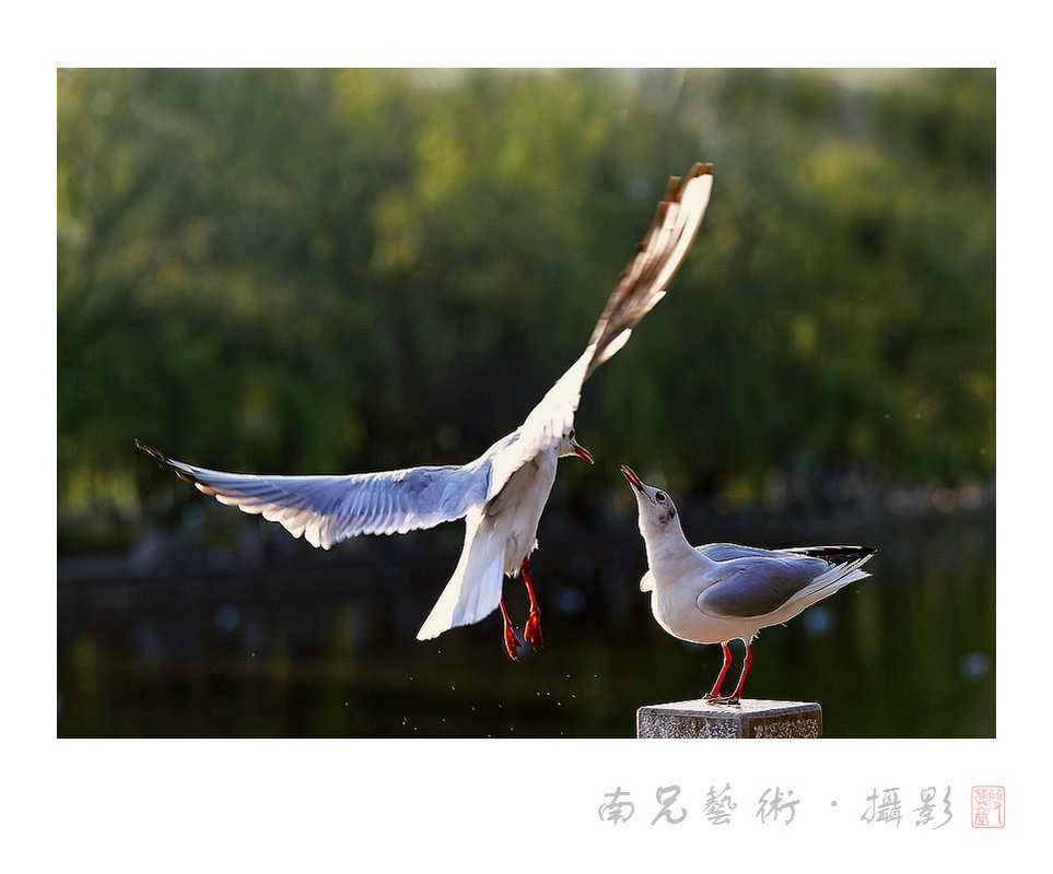 对歌