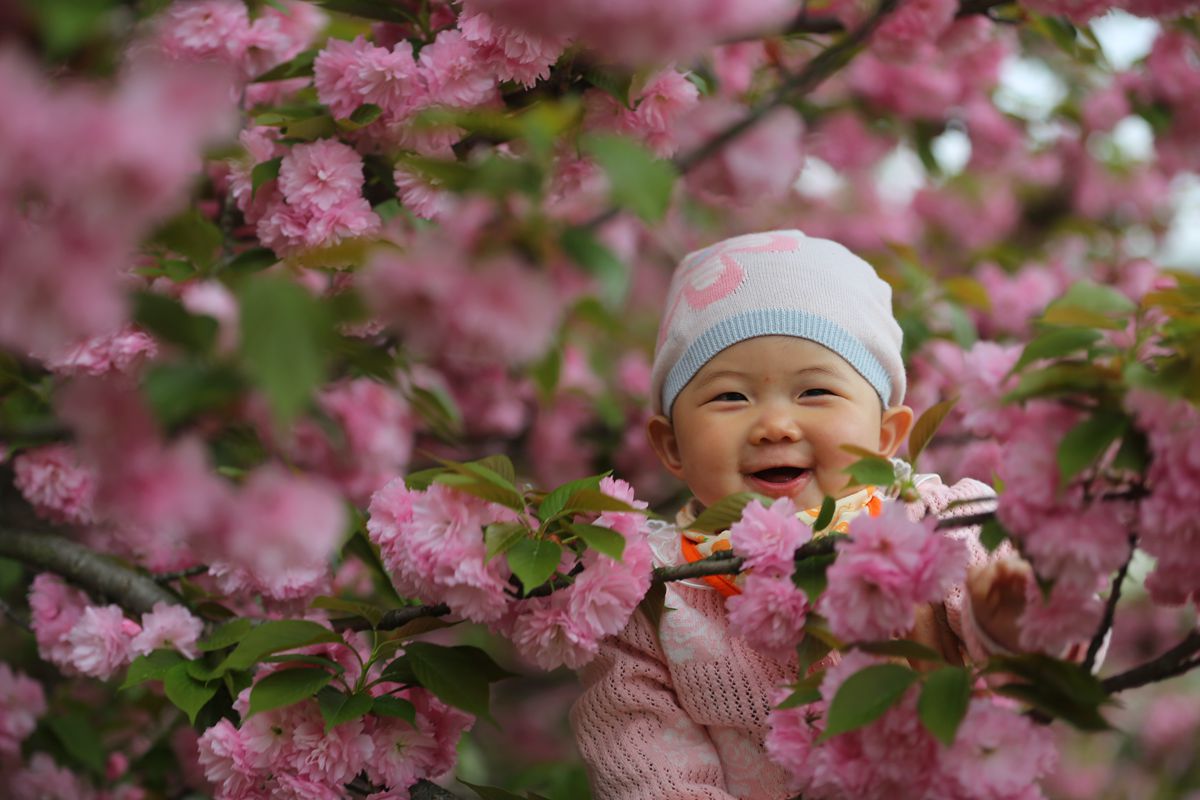 笑口常开---《婴花》