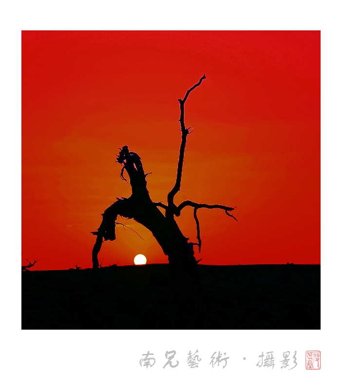 闻鸡起舞