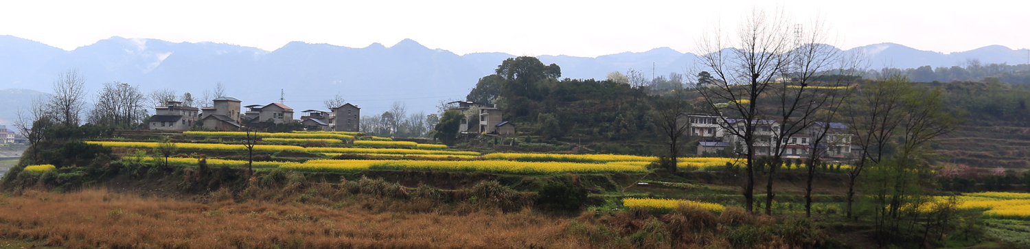 乡村小景-2