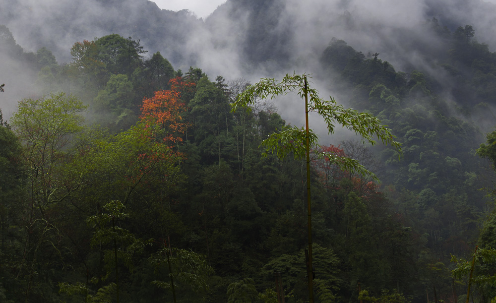 雨后