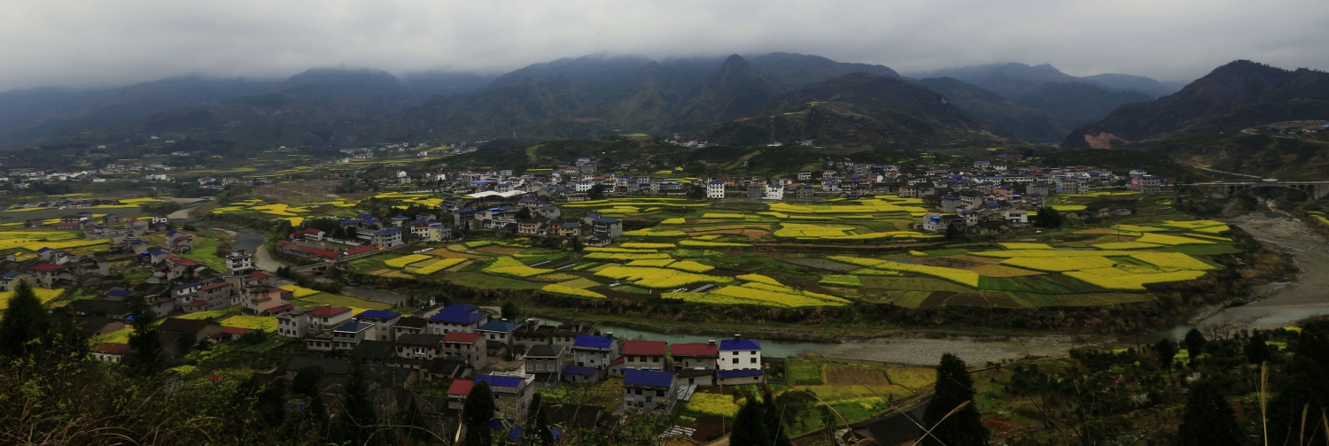 田园