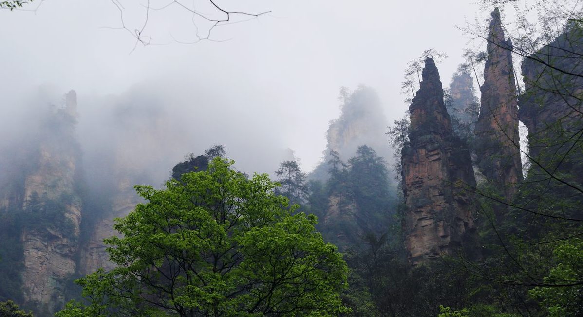 雾雨漫山间