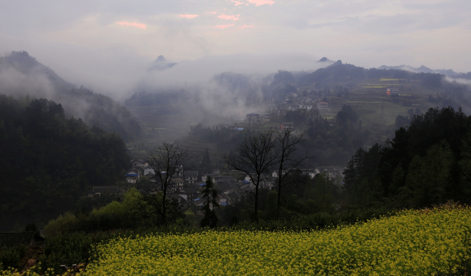 农村小景