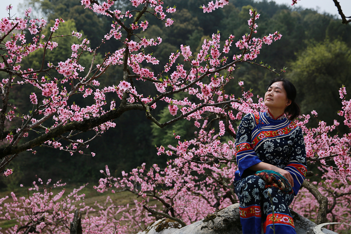 桃花醉人二