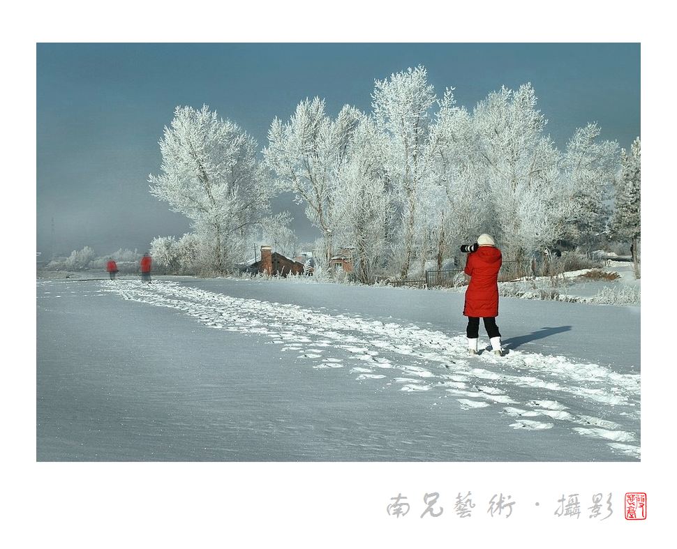 雪里红
