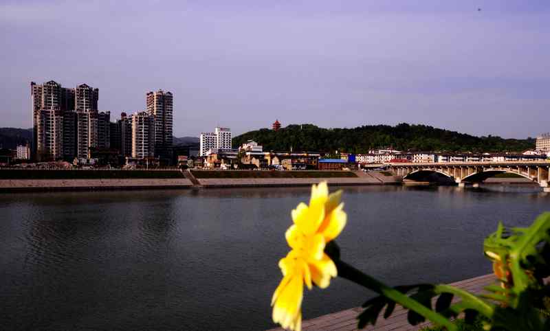 澧水河畔-2