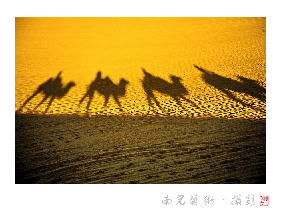 驼影