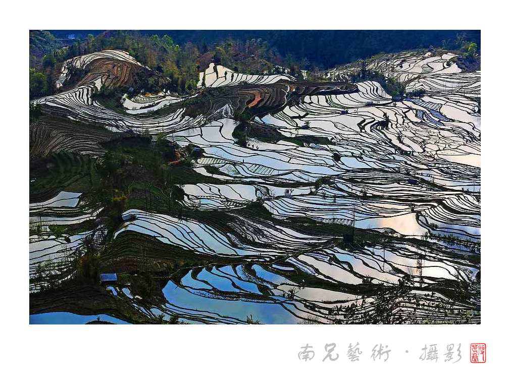 骏马奔腾