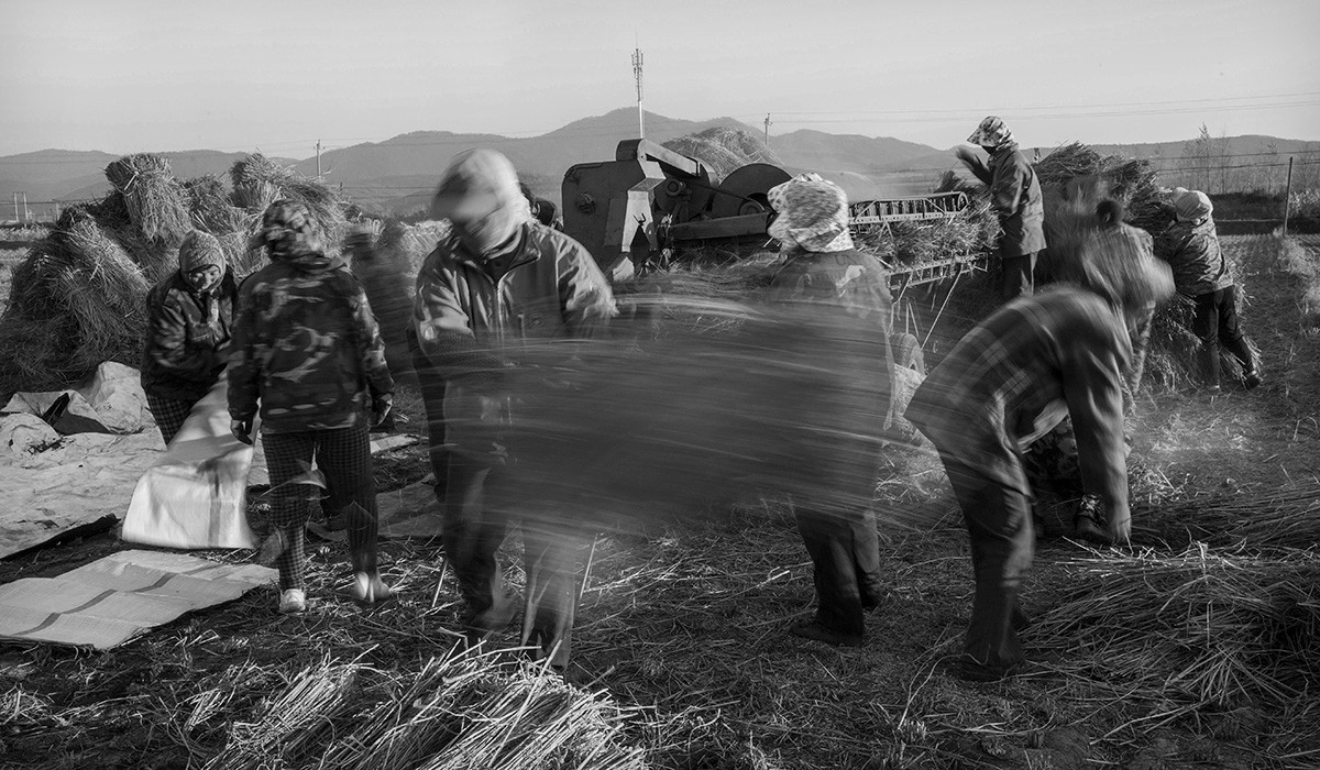 忙碌的打稻场6