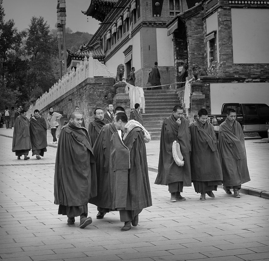 塔尔寺僧