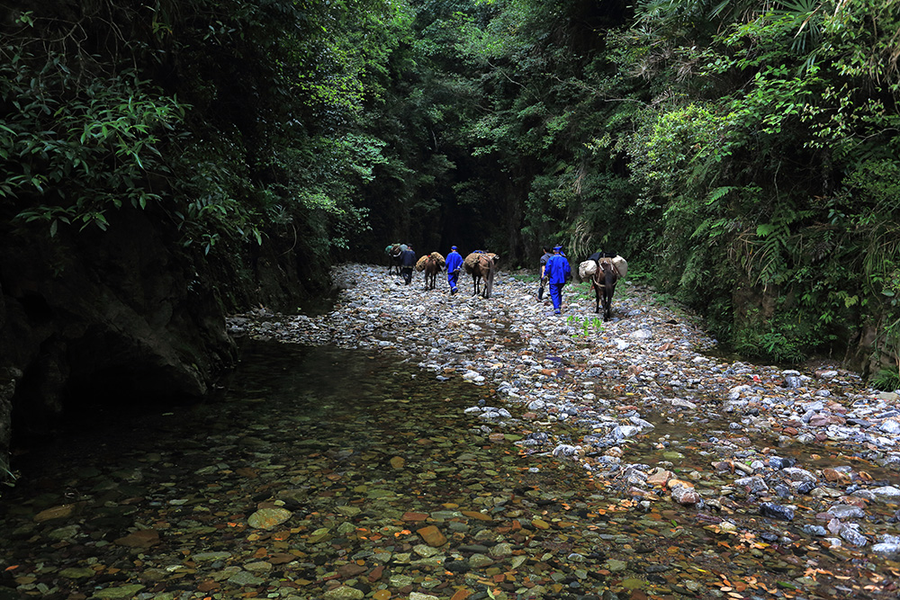 茶马古道