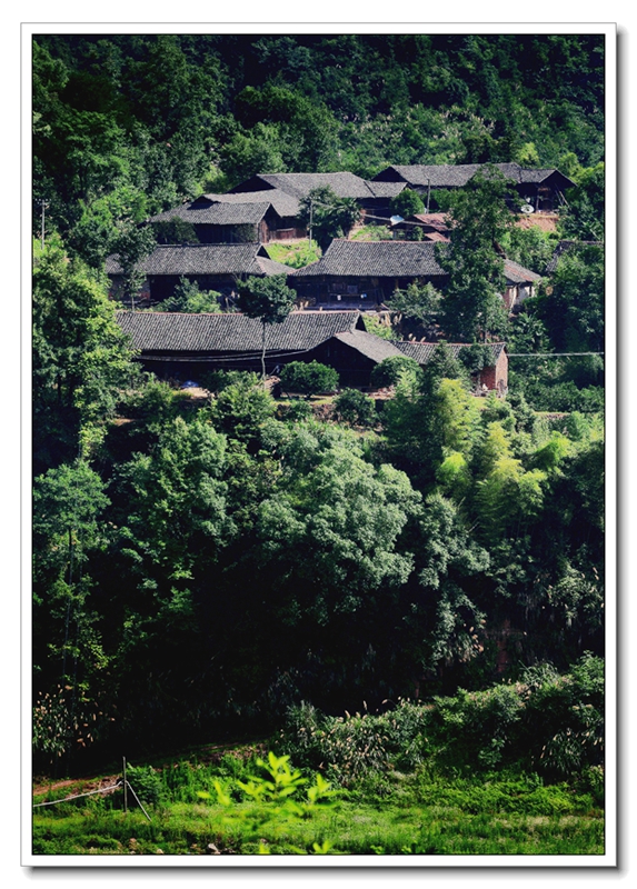土家山寨