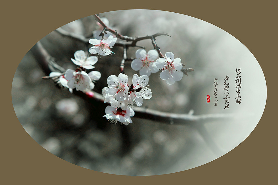 春暖花开