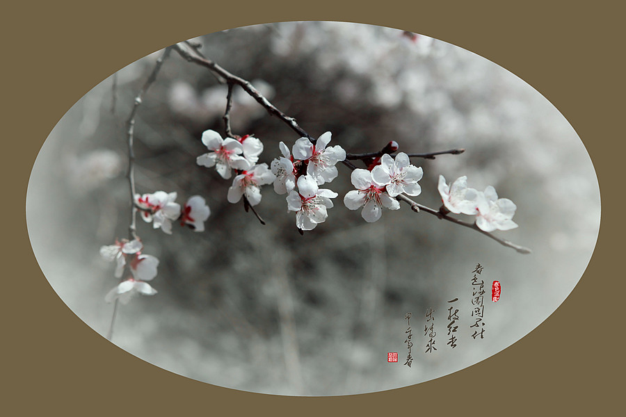 春暖花开