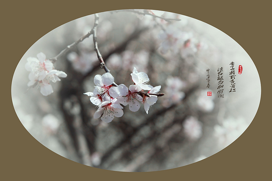 春暖花开