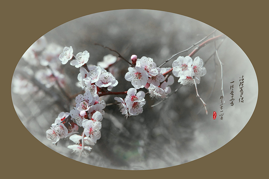 春暖花开