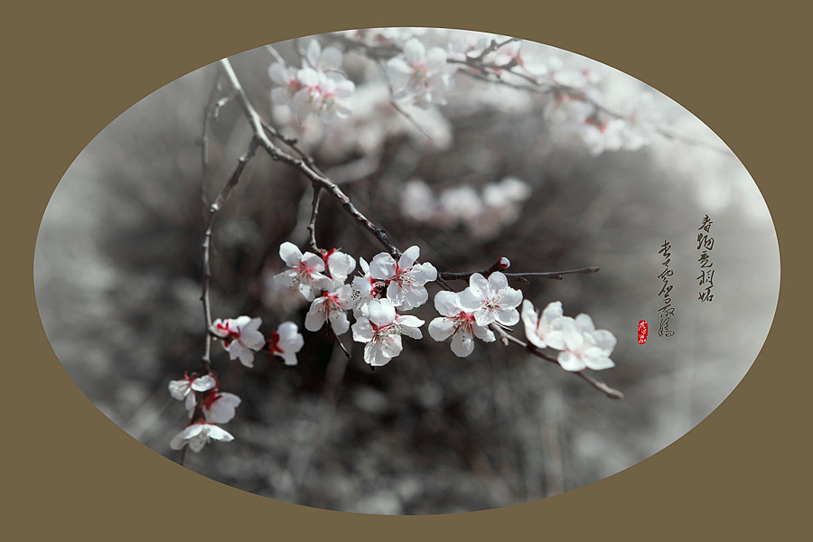 春暖花开