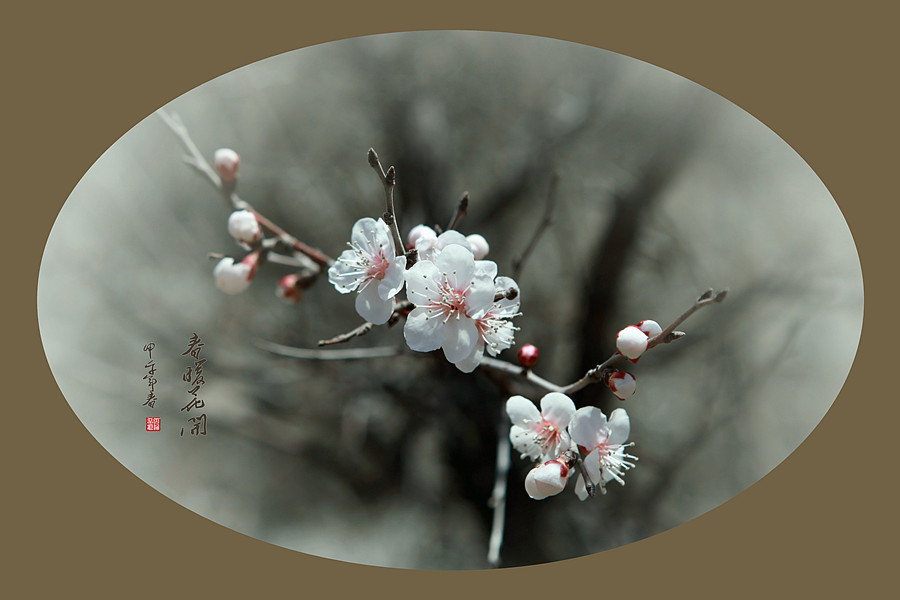 春暖花开