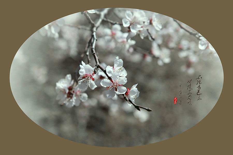 春暖花开