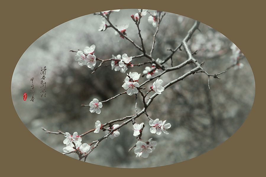春暖花开