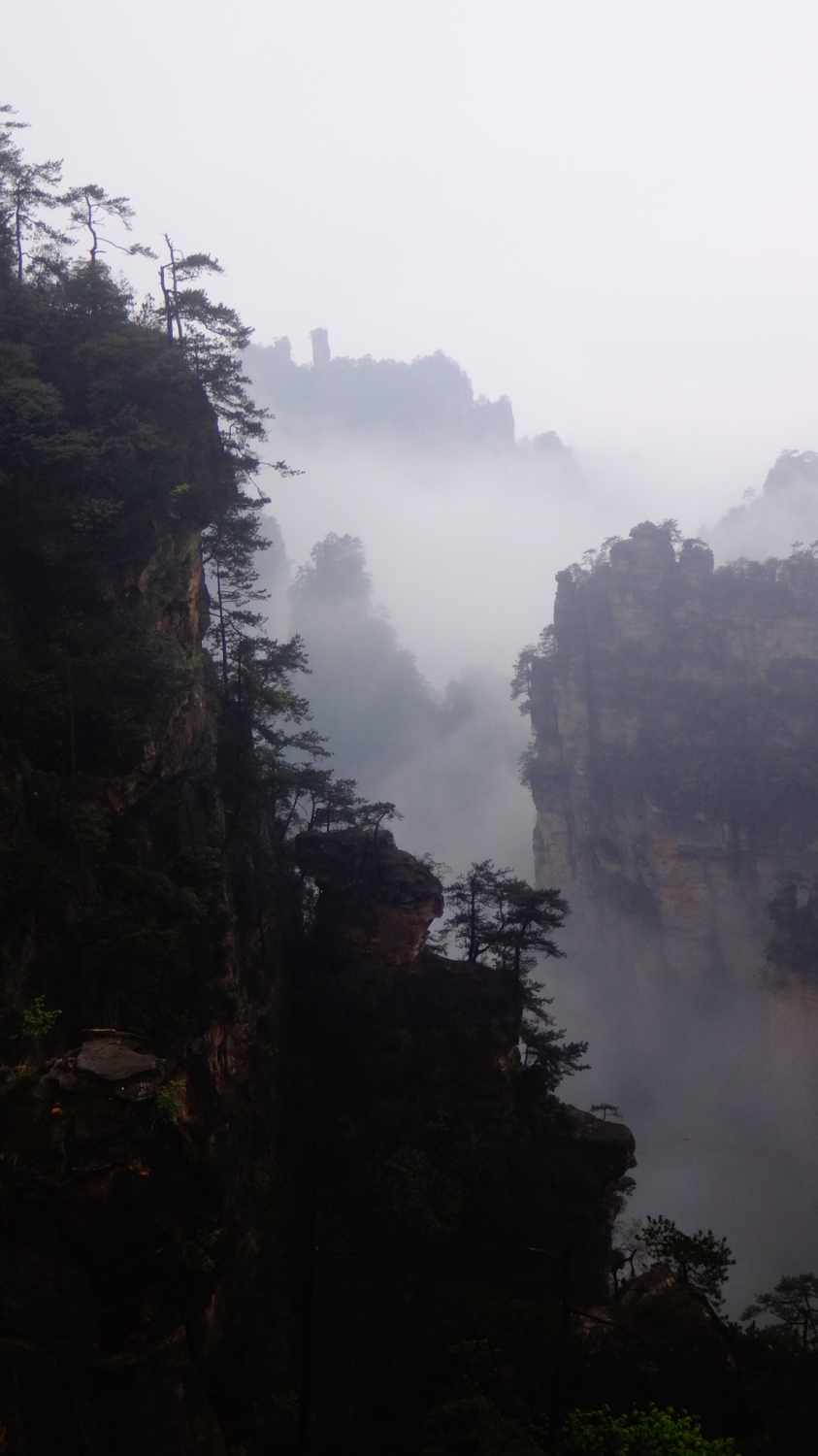 归隐仙山
