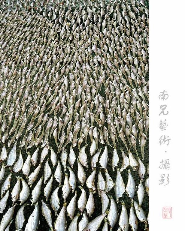 咸鱼翻身