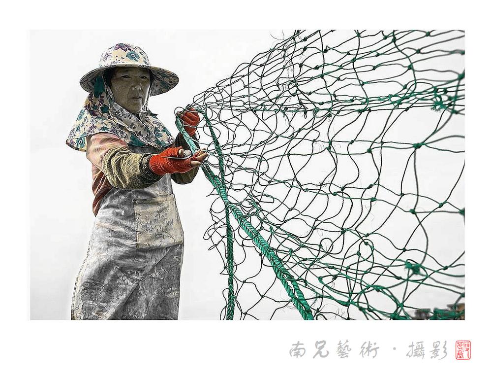 网