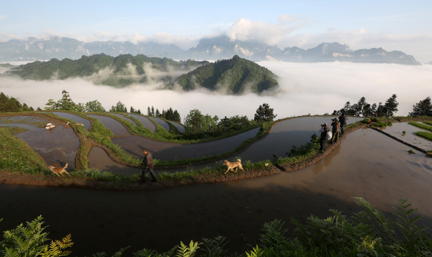 醉美天门山