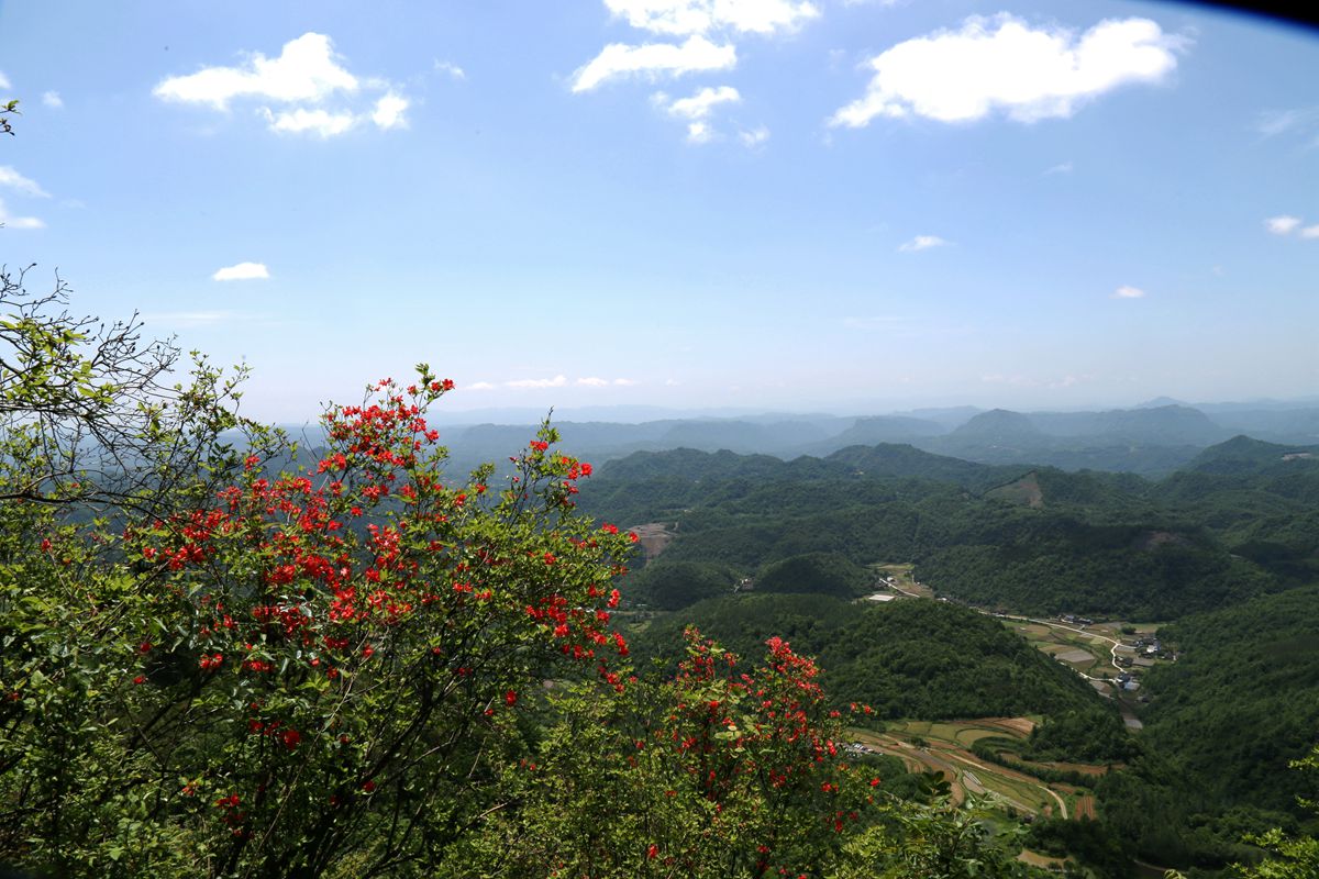 一览众山小