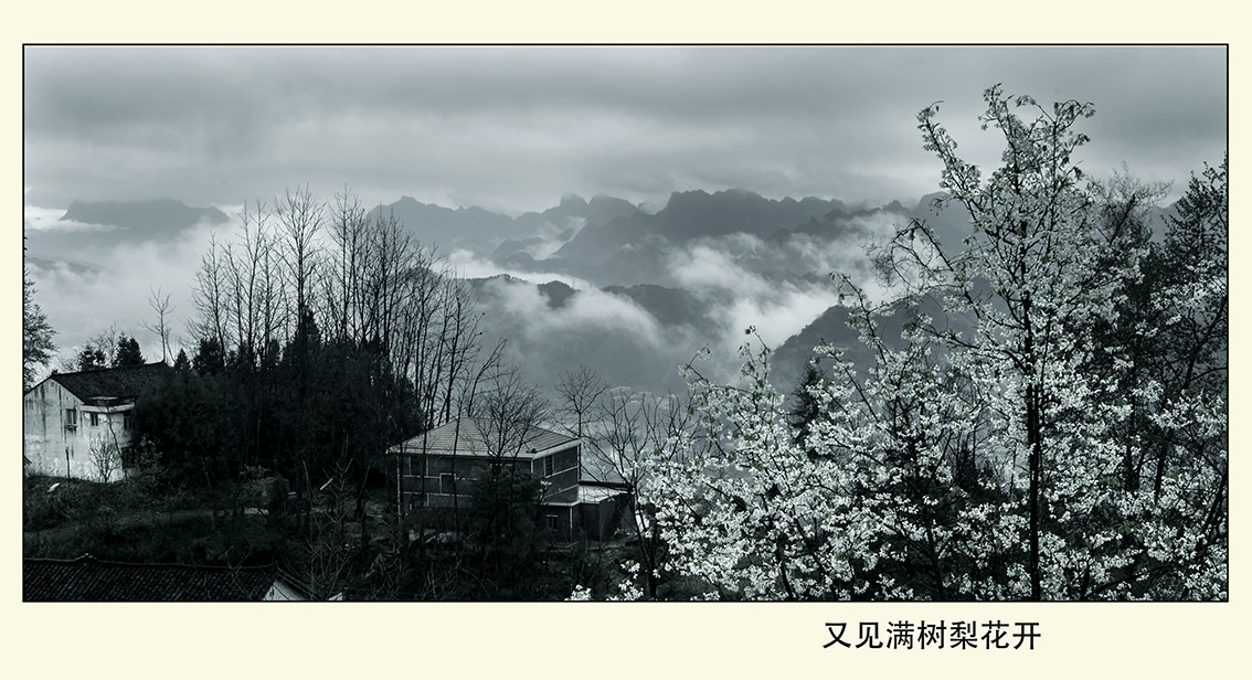 无题