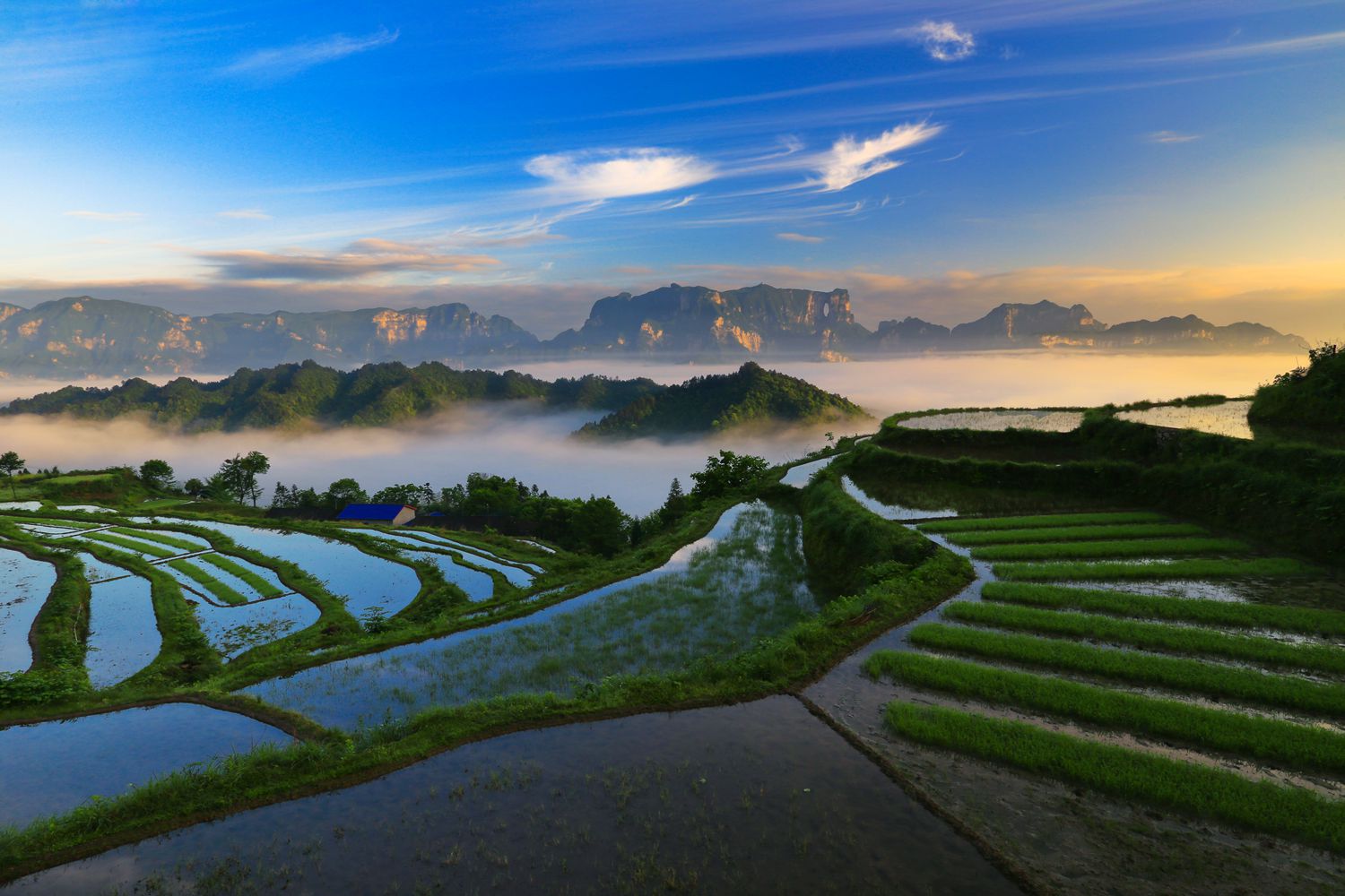 空中田园