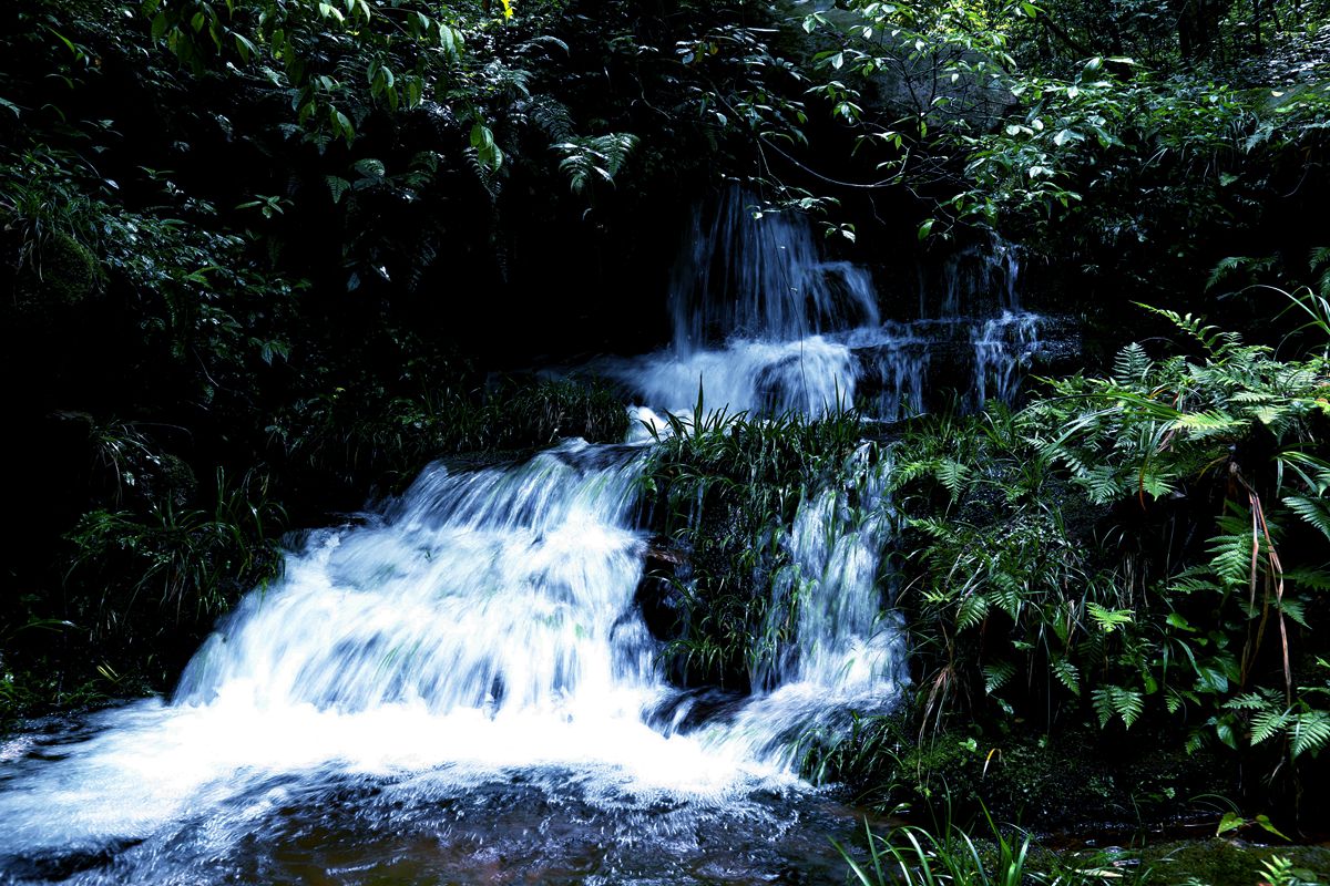 杨家界山涧小景   一