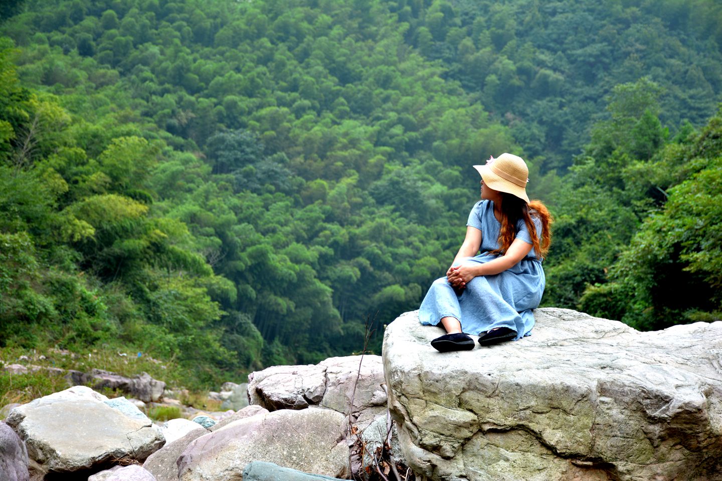 空山听鸟语