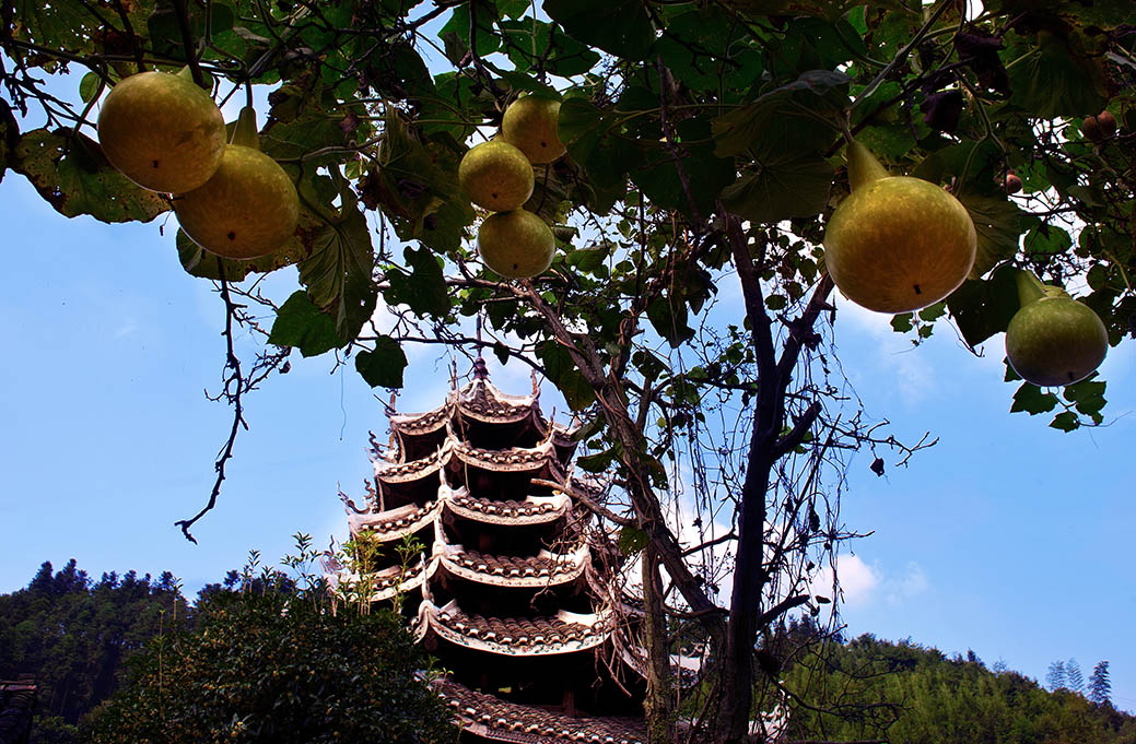 福满侗家